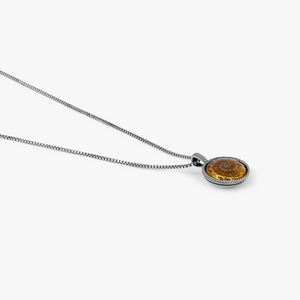 Brown Sterling Silver Cable Ammonite Necklace
