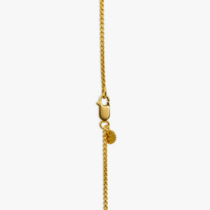 Capri Dagger Rosary Necklace In 18K Yellow Gold Plated Silver With Tiger Eye